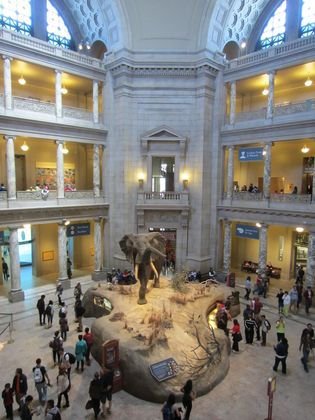 Smithsonian Doğa Tarihi Müzesi